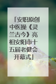 安职原创中医操《灵兰古今》亮相安阳市十五届老健会开幕式
